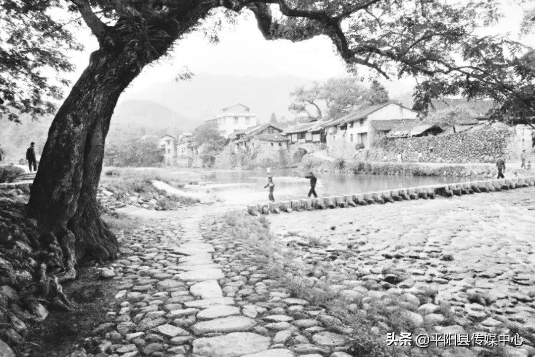 平邑深山望族：揭秘平阳大山中的十大首富传奇