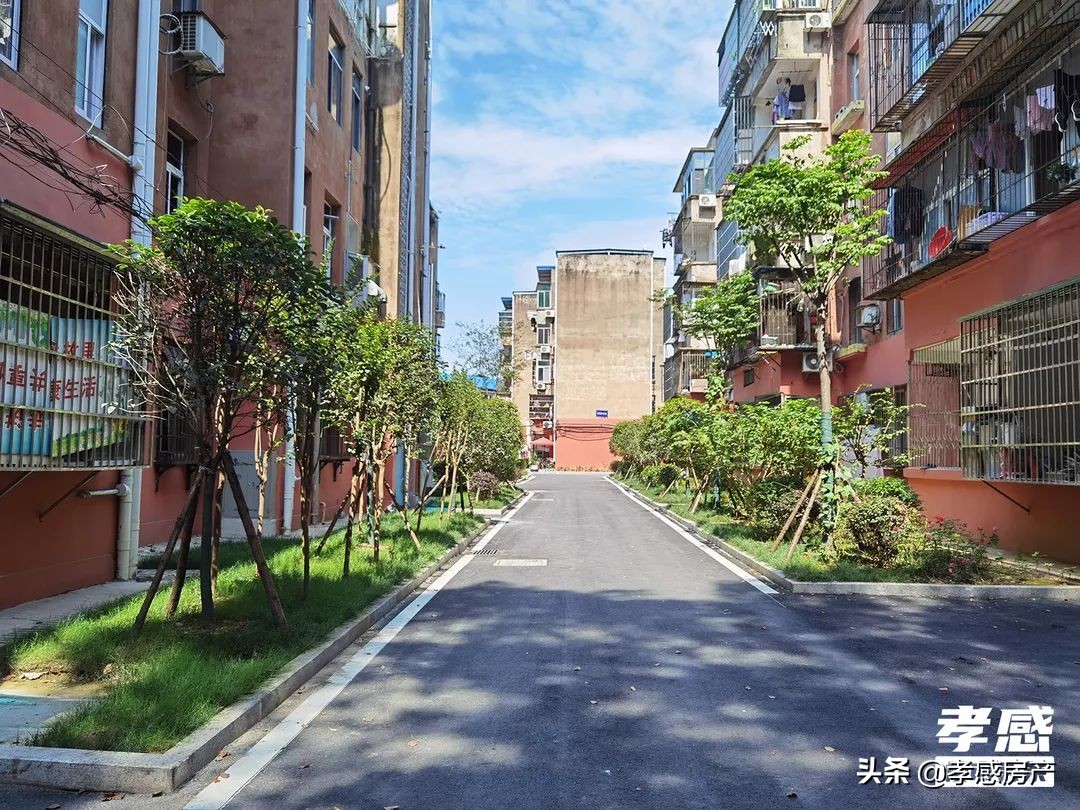 7大小区改造，多所热门学校招生，下半年孝感利好频传