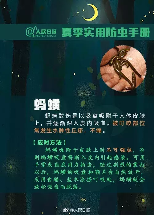 警惕！路边碰到这种小红土堆，赶紧躲远点！曾有多人因此中毒、休克！