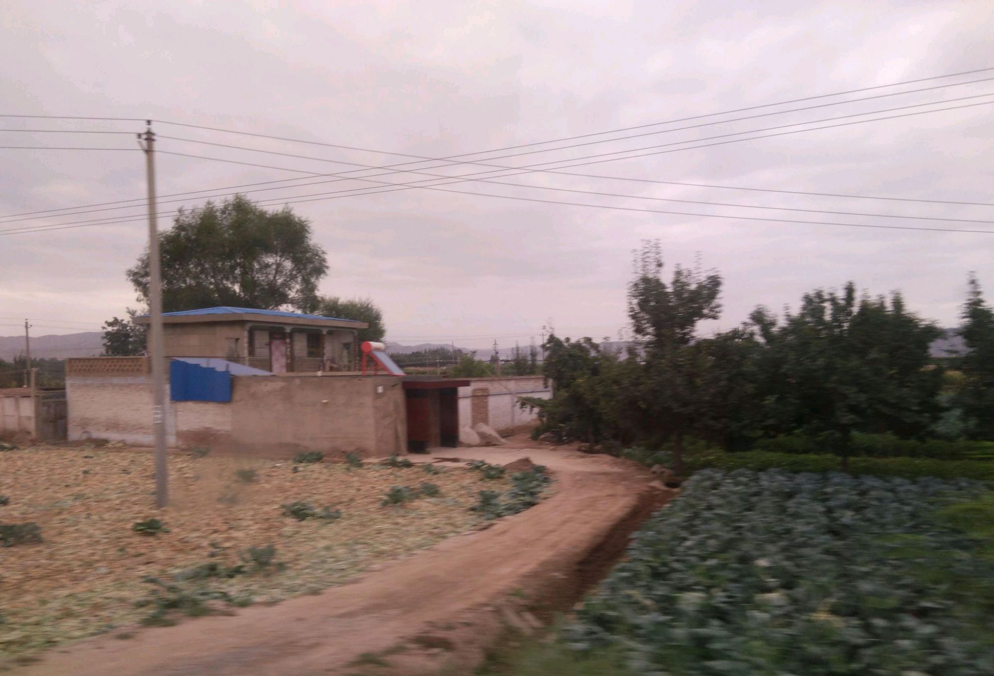 大学宣传照，和现实环境的反差有多大？学生的入学欲望突然消失了