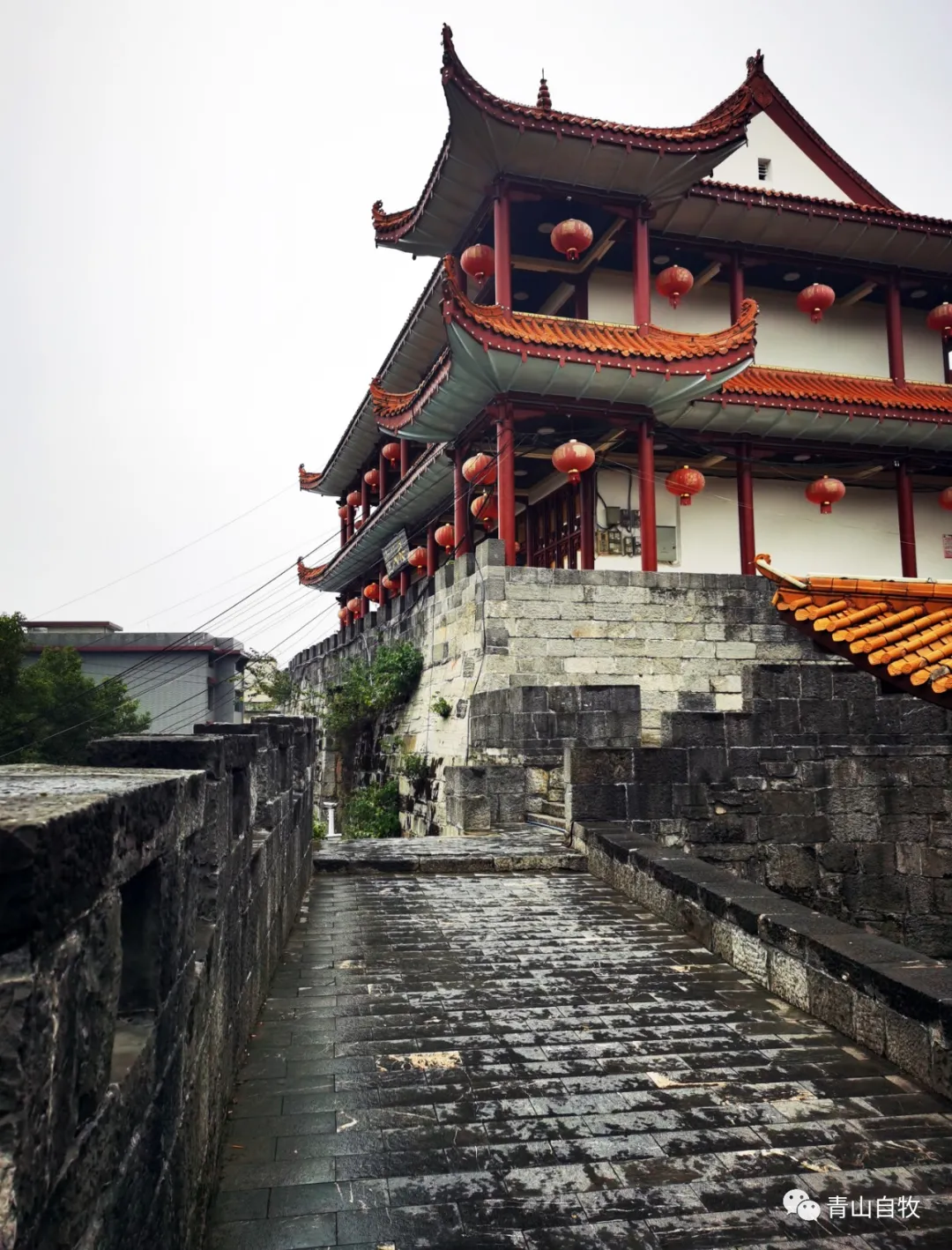 在湘西南,曾有一所黄埔军校第二分校