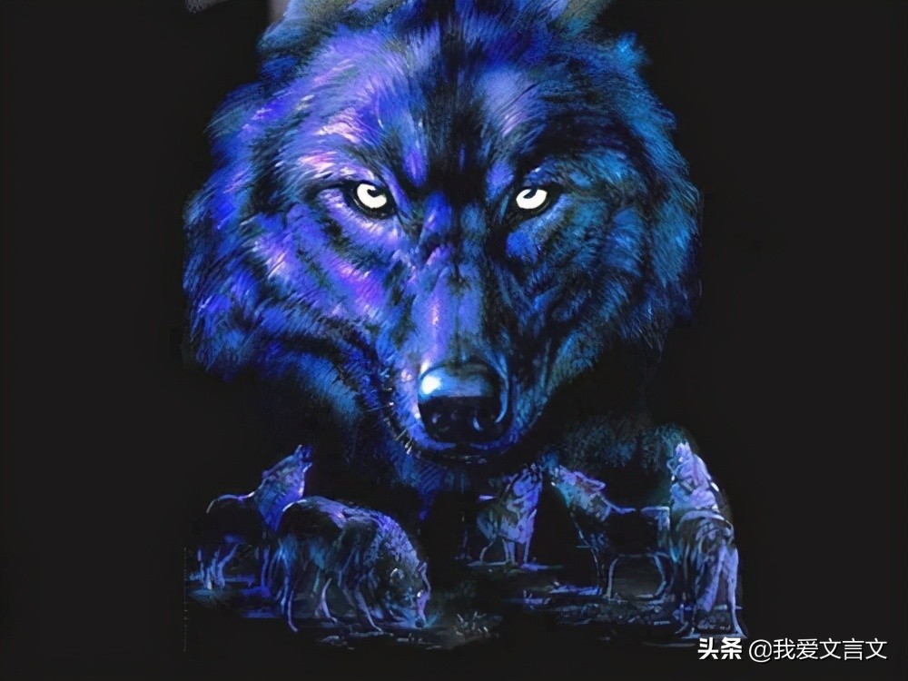 经典文言文赏析 | 狼子野心