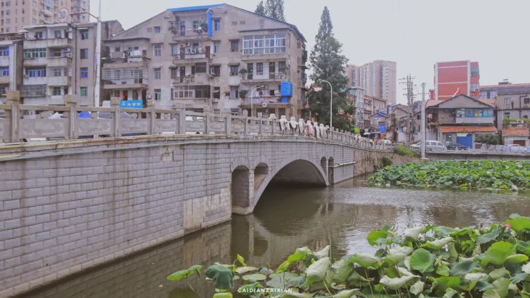 情人桥、城南路、二小巷子、蔡正街等地方，勾起你多少回忆？