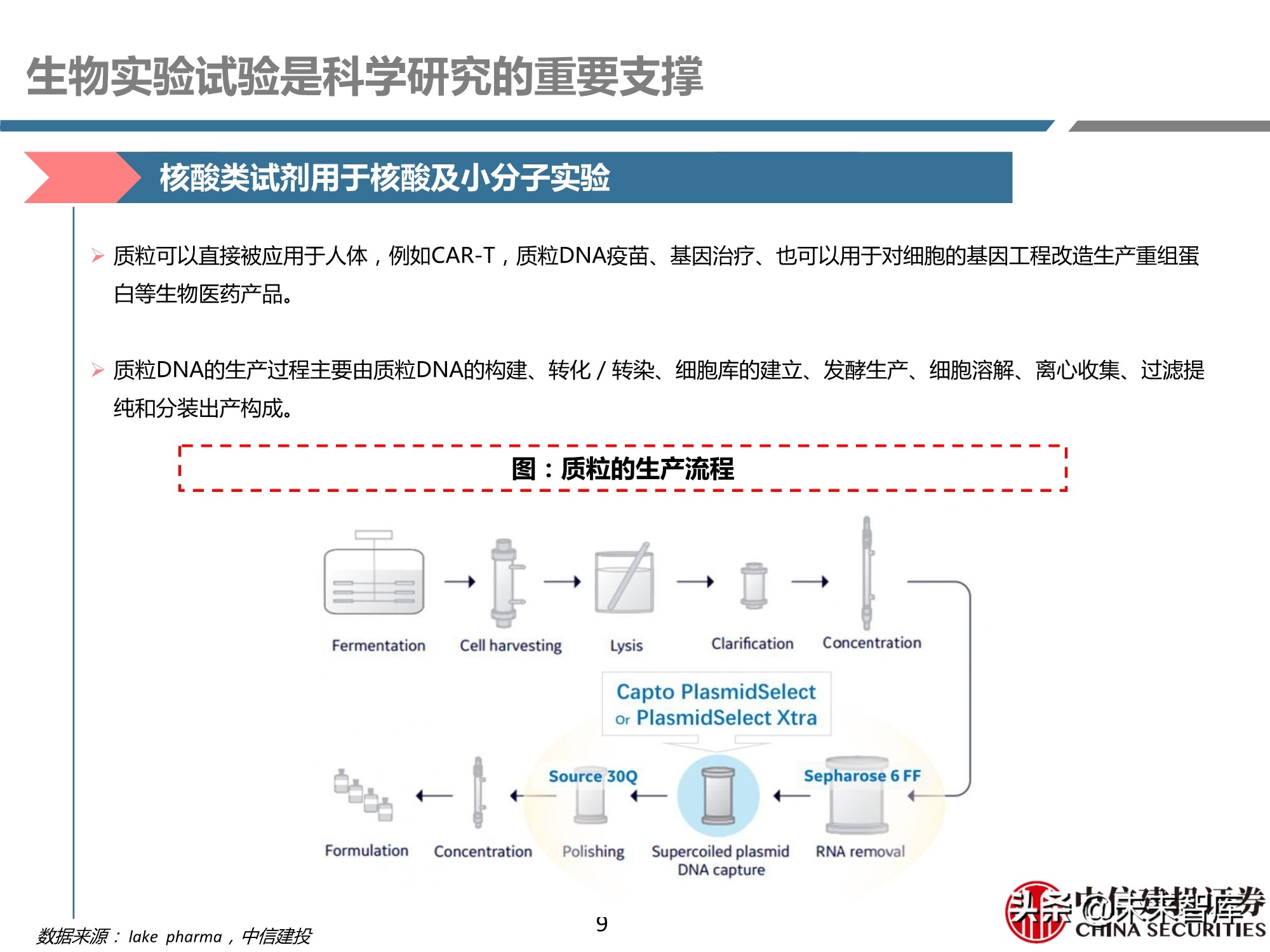 医药行业之科研试剂深度研究报告：迎接中国品牌崛起