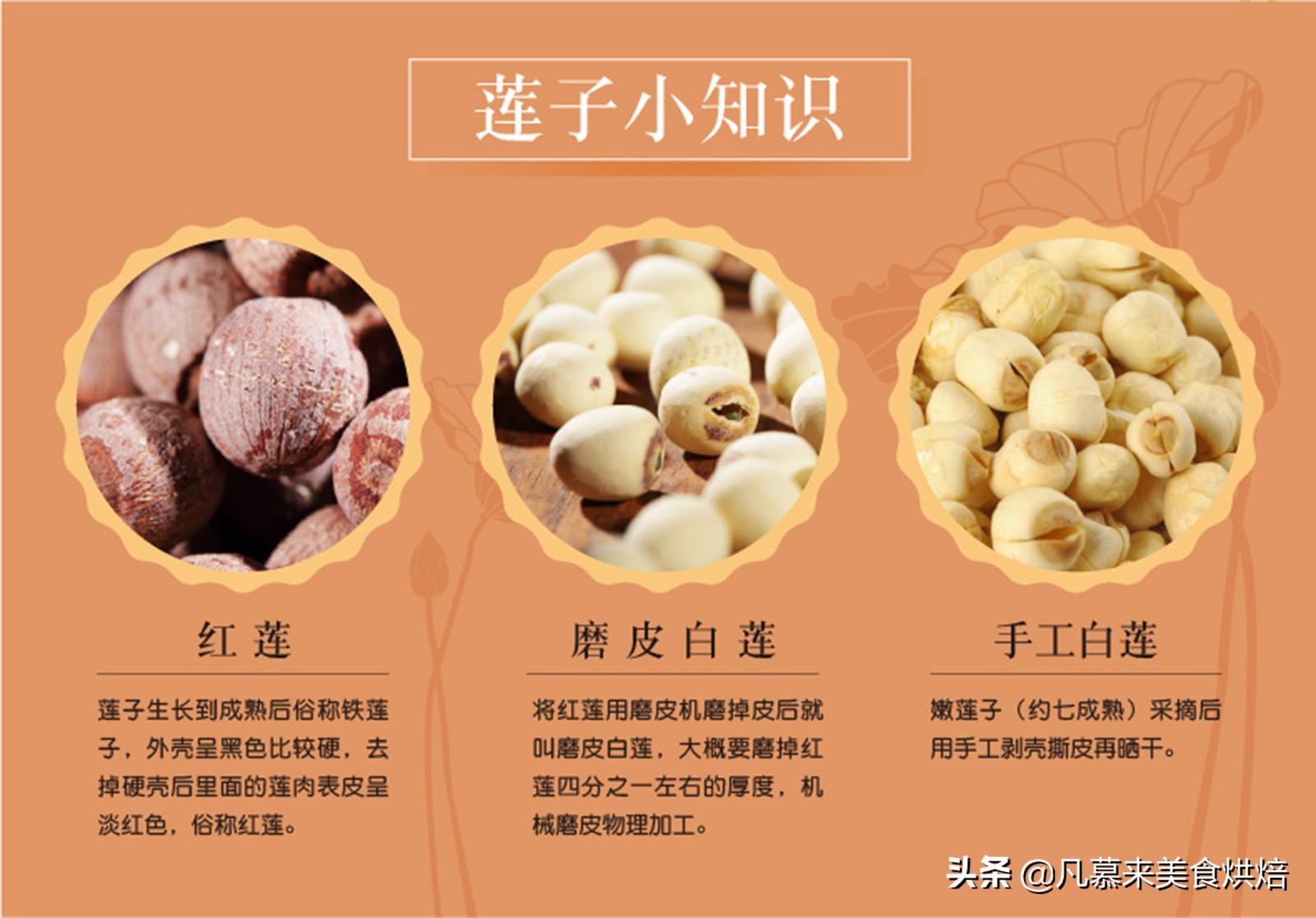 坚果类食品有哪些？25种坚果大全你都认识吗？坚果的吃法有哪些