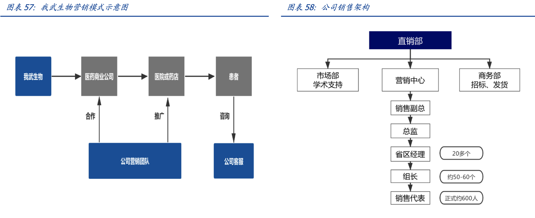 【公司深度】我武生物：国内脱敏治疗龙头，粉尘螨滴剂快速增长期