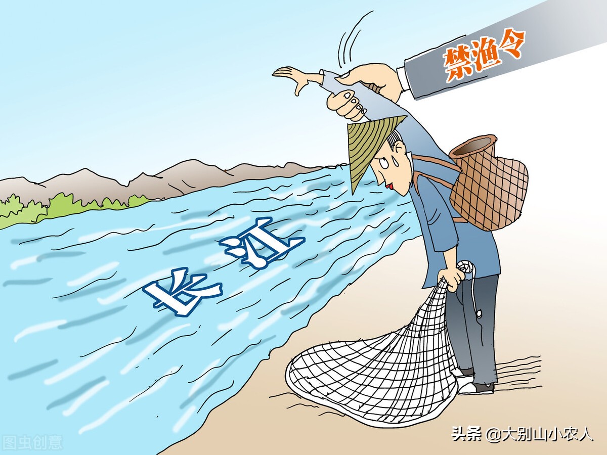 甲鱼枪在长江边耍横，巴掌大的小甲鱼钓了一桶，祖传手艺也要罚