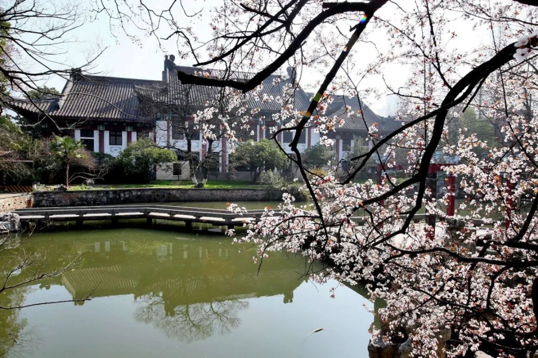 爱上江苏这所百年名校，只要这10句话就够了！