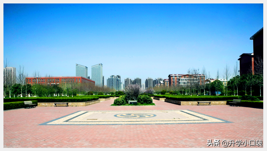 女大学生宿舍养鸡，从鸡蛋变鸡肉，是“馋人”还是“残忍”？