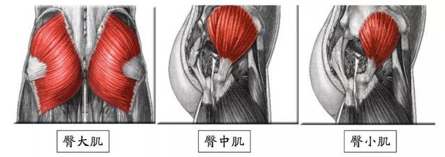 许晴魔鬼身材从翘臀开始？会瑜伽球的人提臀2厘米，关键这样做