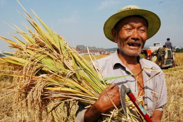 江西官宣！农民可免费上大学，只需满足4个条件，已经开始报名啦