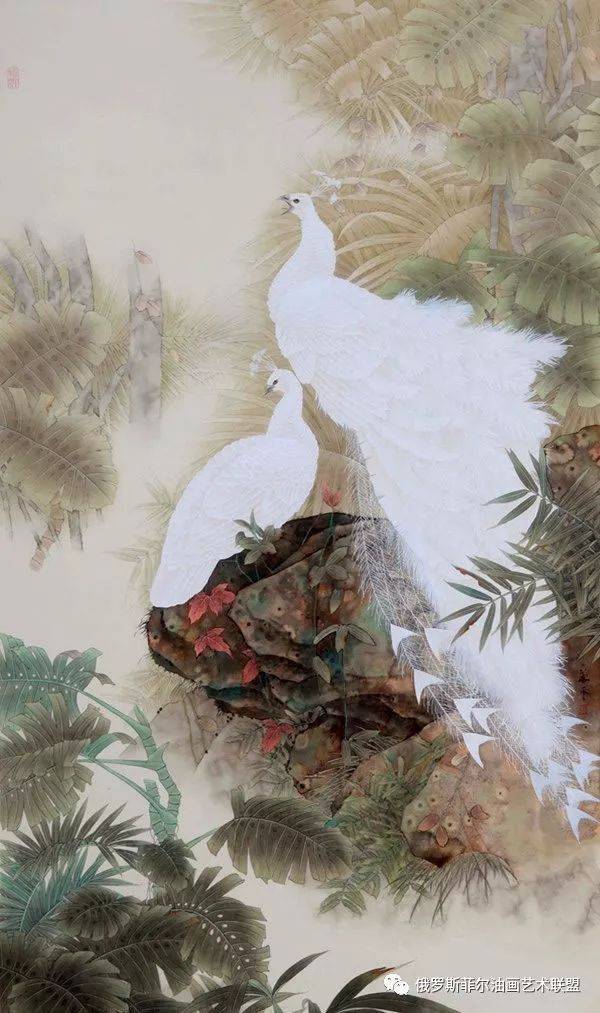 孔雀东南飞！高贵、冷艳的白孔雀