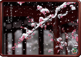 340_240gif 动态图 动图