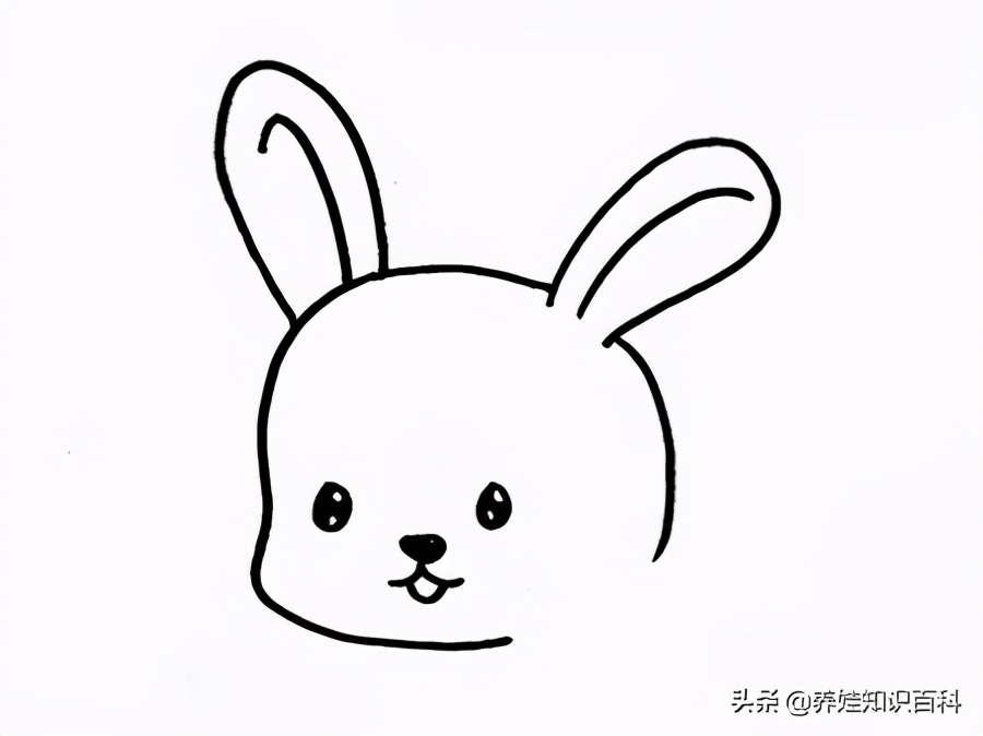 兔子画法简笔画（干货分享兔子最简单的画法）
