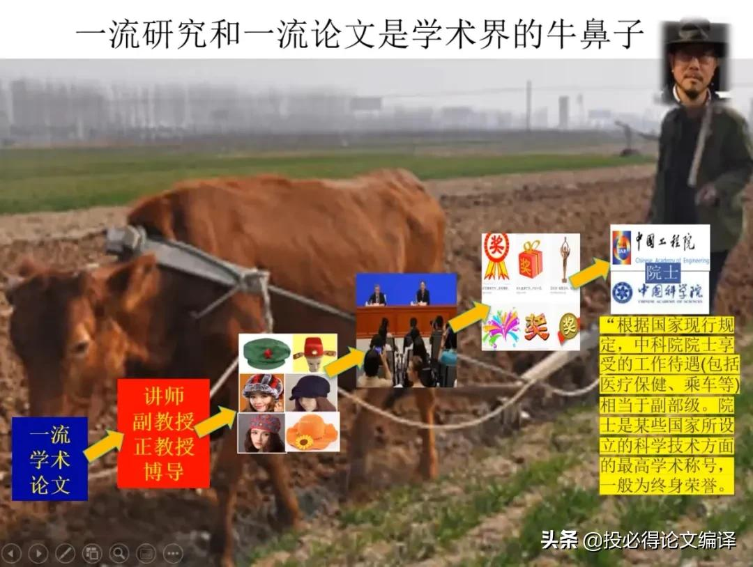 美国田纳西大学终身教授程宗明：科研、论文写作和发表全过程剖析