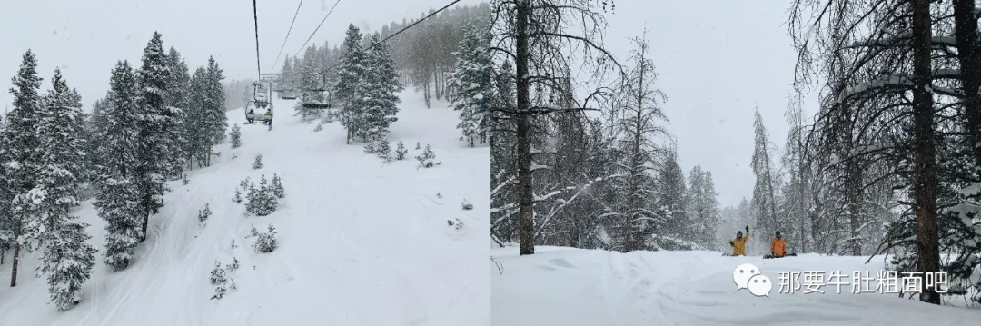 当大雪飞过那个小镇,我哪儿都不去 | 当我滑雪时我在想什么