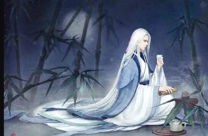 描写白发的句子（诗词鉴赏）