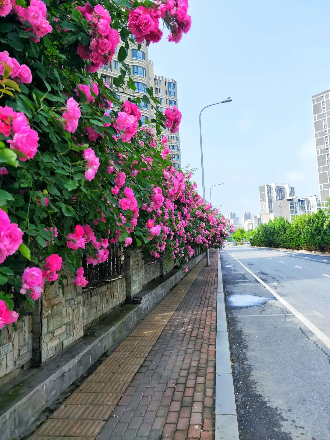 大连10大著名景点（盘点14个大连网红打卡地）