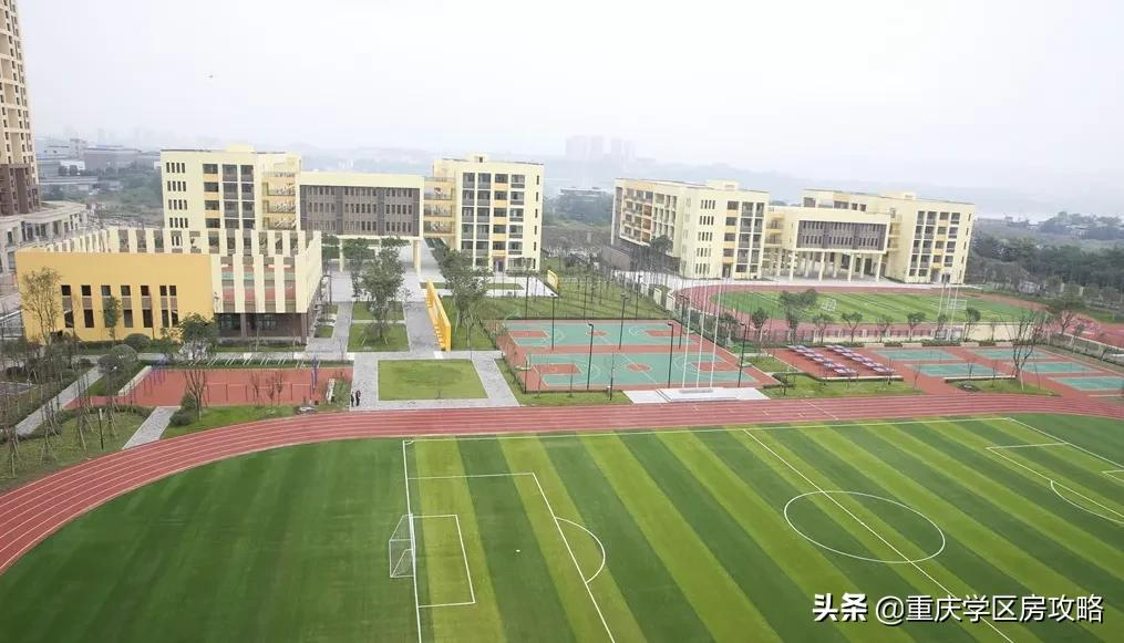 中考成绩直逼七龙珠！大渡口遗珠，重庆95中详细情况汇总