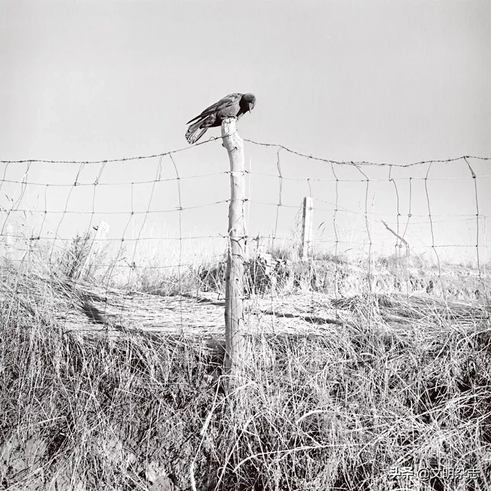 车过删丹：与长城为邻