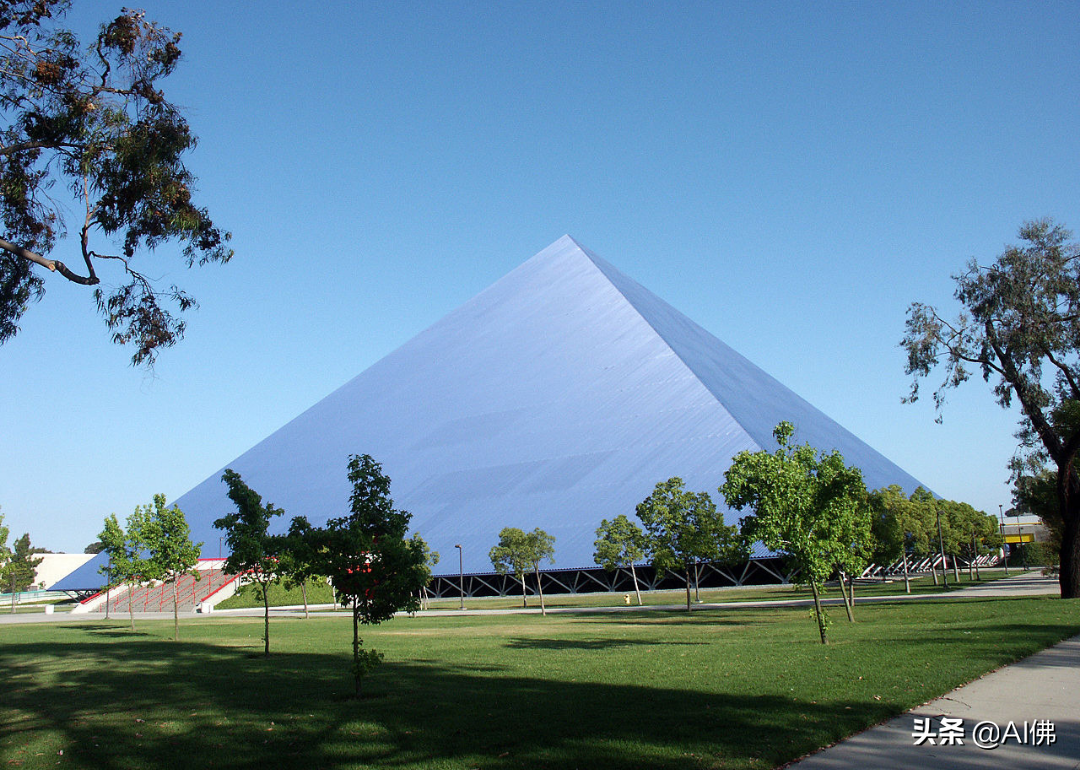 美国最自由的公立大学