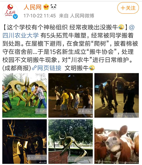 经常上热搜？揭秘四川这所高校的