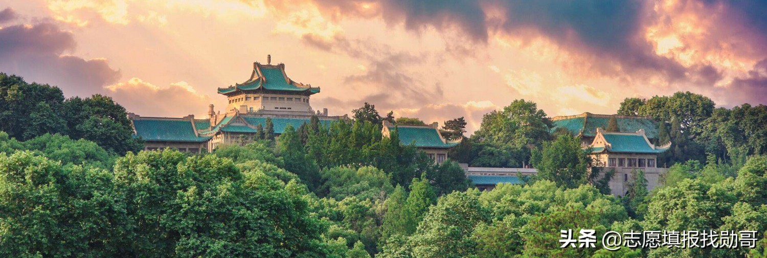 大学新校区“东南飞”成趋势，泄露了哪些秘密？