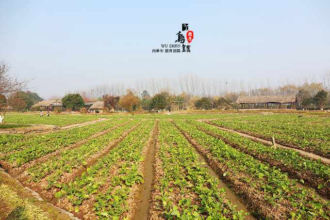 乌镇2日游攻略，准备一场江南古镇的周末之行