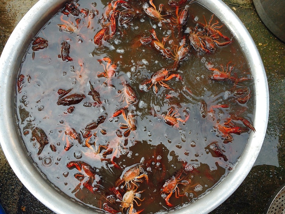 洗小龙虾时,别再一只只刷了,用这水泡10分钟,洗得干净又彻底