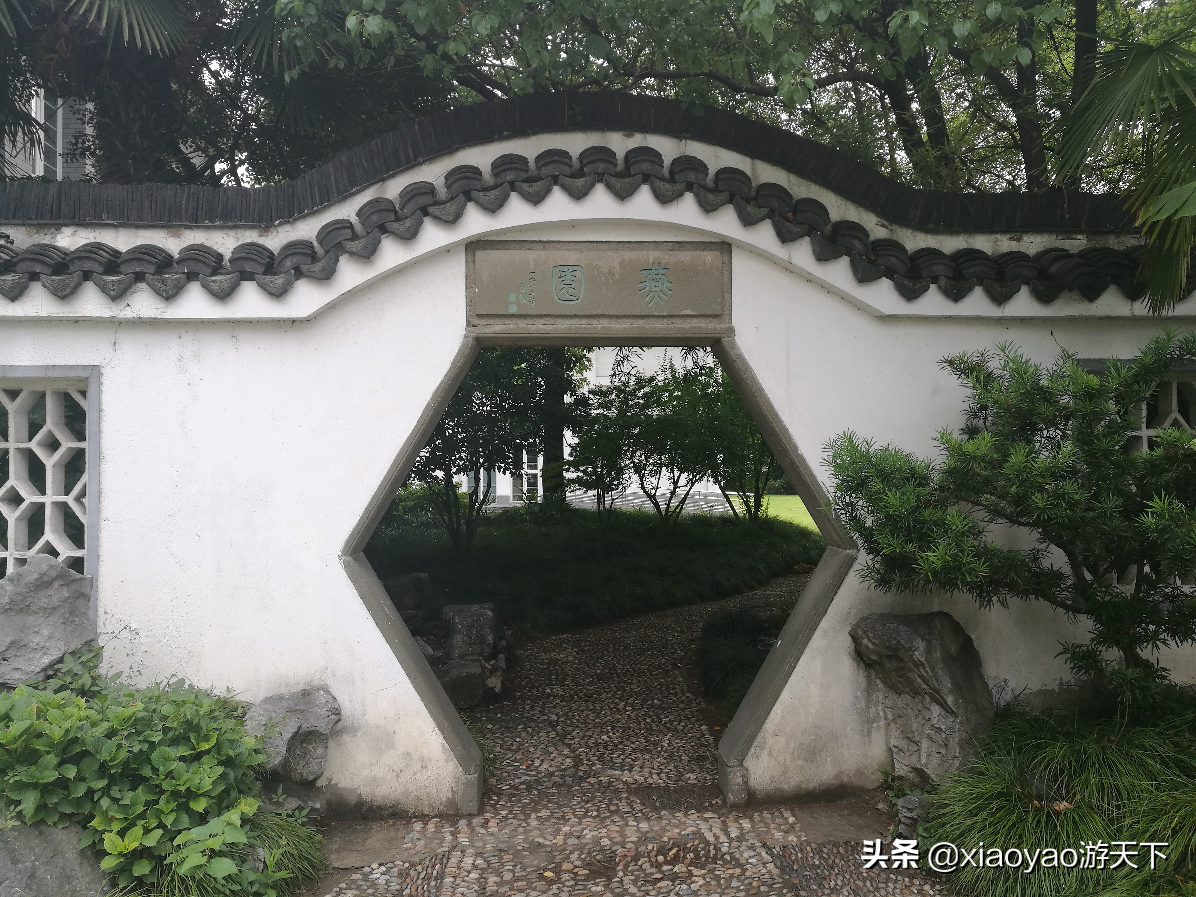 最美大学之旅——复旦大学