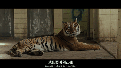 《无惧之虎》：像王子、像战士、像老虎一样无畏地活着