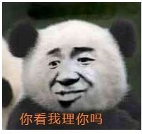 你看我理你吗表情包