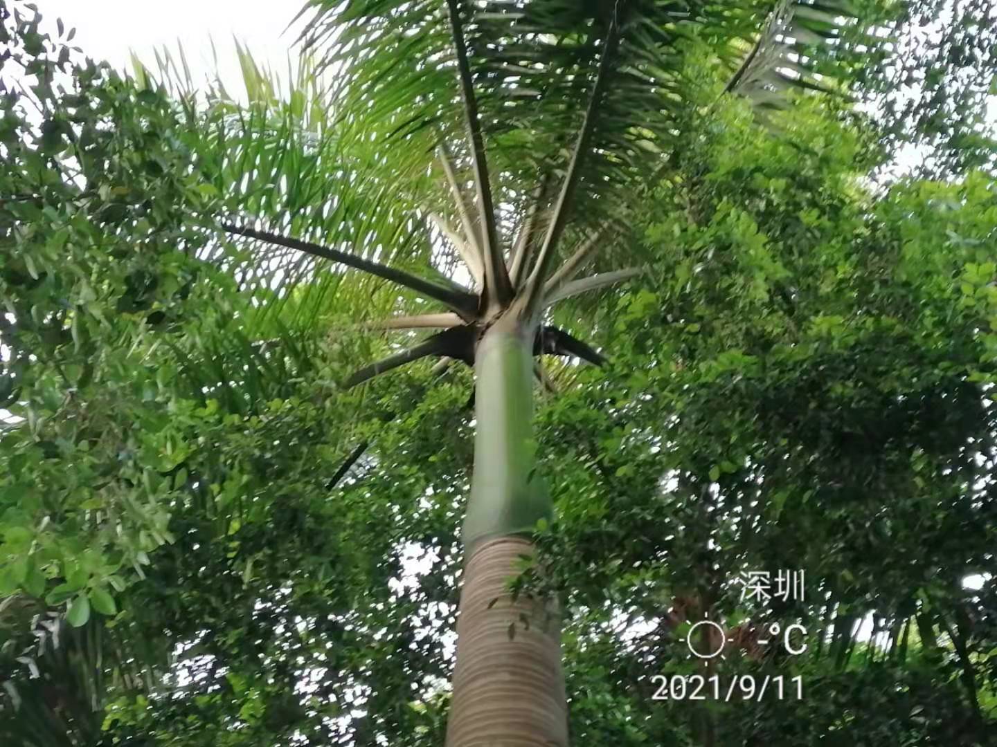 北京信用卡还款,北京信用卡还款时间
