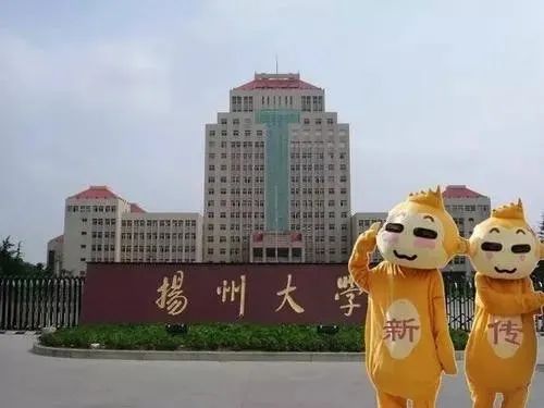 报了！扬州大学