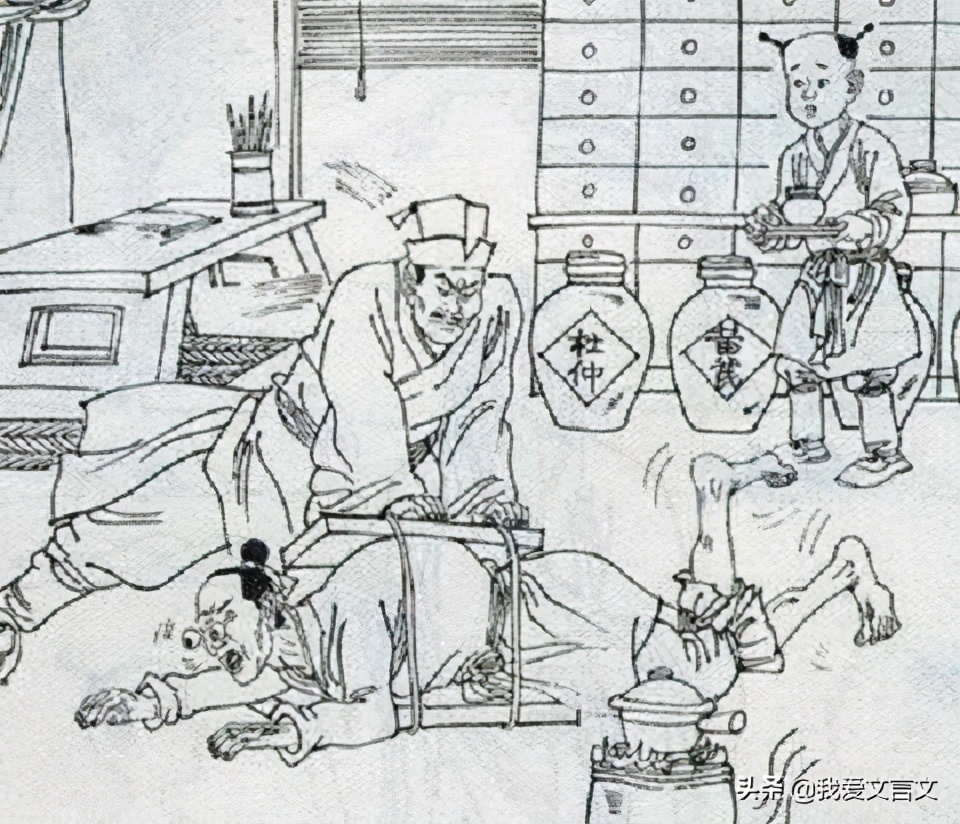 经典文言文赏析｜庸医治驼