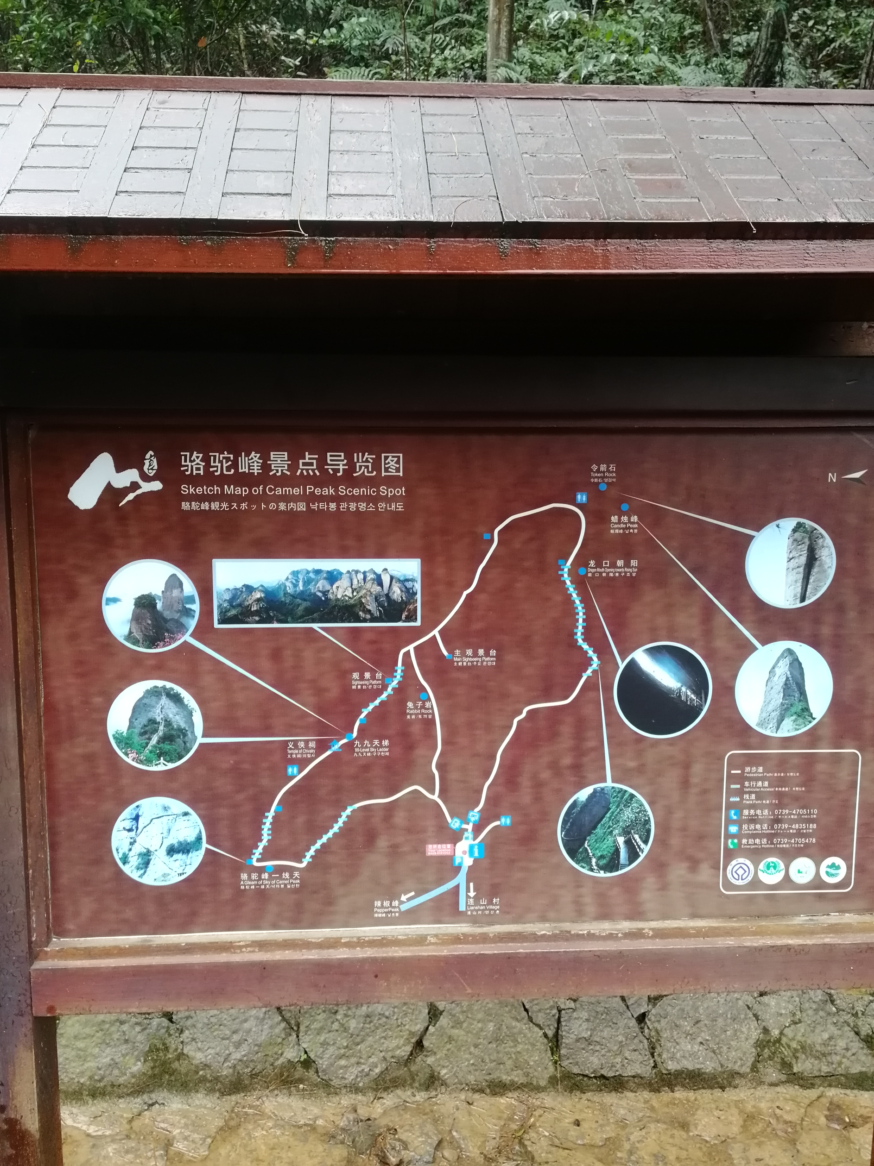 雨中登山好似行走云间，云雾缥缈感觉随时会有神仙