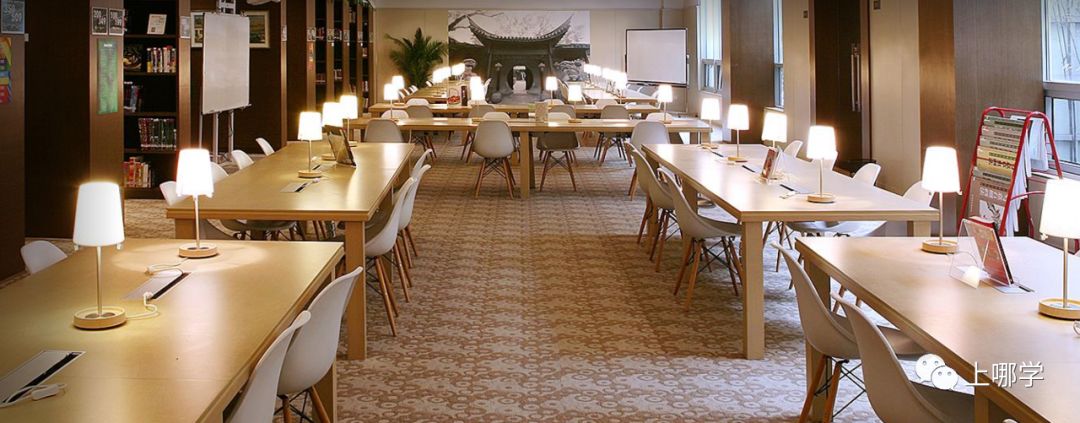 上海国际化学校TOP10