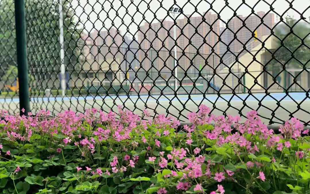 文史537分、理工522分！西安邮电大学2019本科招生录取圆满收官