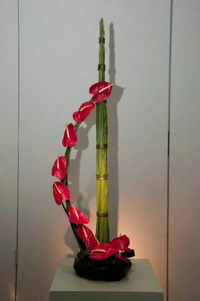 妹妹高考，这是我和太太写的鼓励语合集，这是后半个月的问候