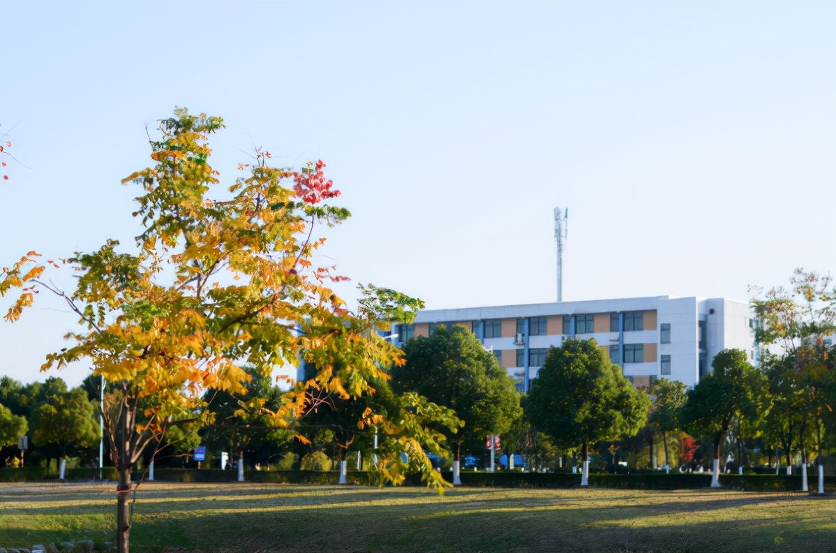 这所竞争力强学费低的民办高校，2021年艺术类专业录取数据分析