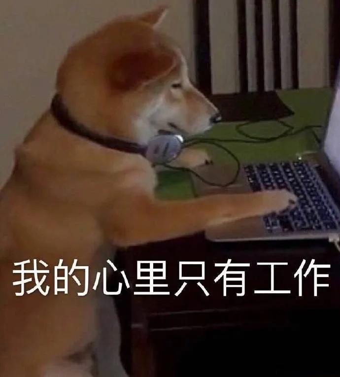 表情包：我不在乎您随意