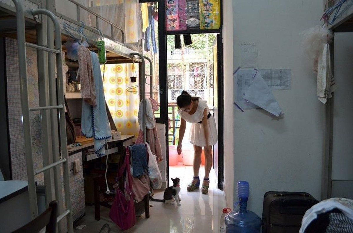 宿舍八个人十二个微信群，大学生住校水太深，还有比这更狠的