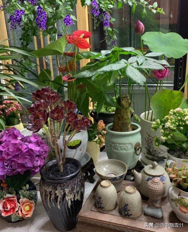 瓶插鲜花怎样来保鲜 这7种方法 可保花期长 花香浓郁更持久 佳辰