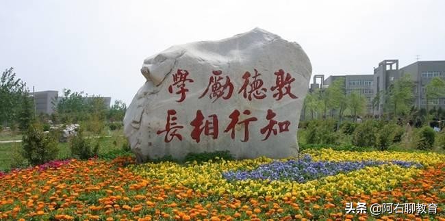 西北上升最快的4所“双非”高校，强势学科比肩211大学！