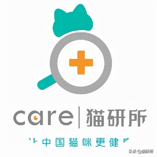 猫咪为啥沉迷吸鞋？这样会传染脚气吗？