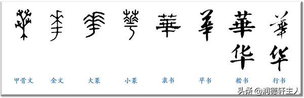 越原始，越深刻 – 重新理解汉字本义 │ 物“华”天宝