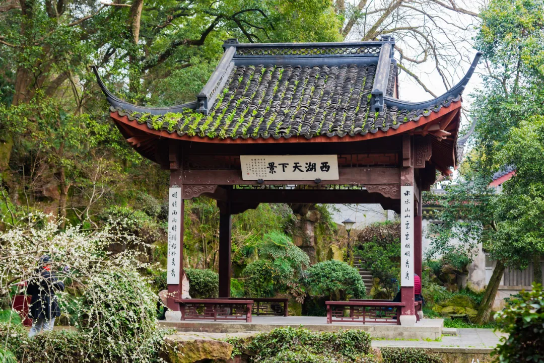 你以为是西湖,并不是真正的西湖