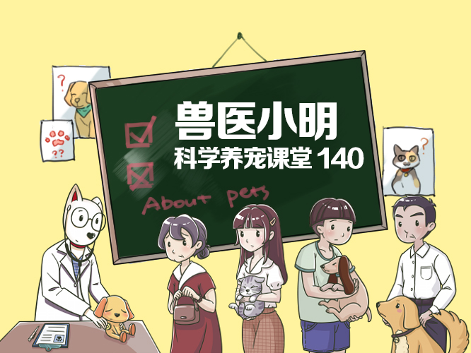 如何办理狗证？详细流程与所需材料指南