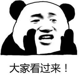 南京车辆违章查询（7月南京十大交通违法行为排名）