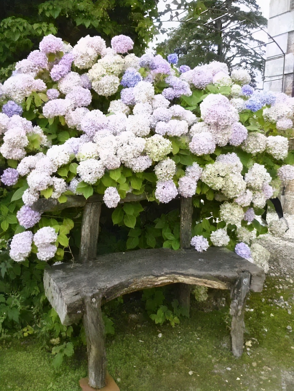 花香盈袖，春色满园，有个小院，悠然到老